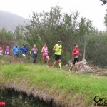 IMG_0524 (Copiar) (Copiar)